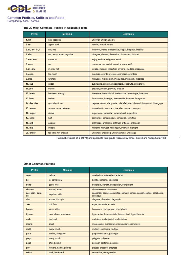 Common Prefixes and Suffixes Guide | PDF
