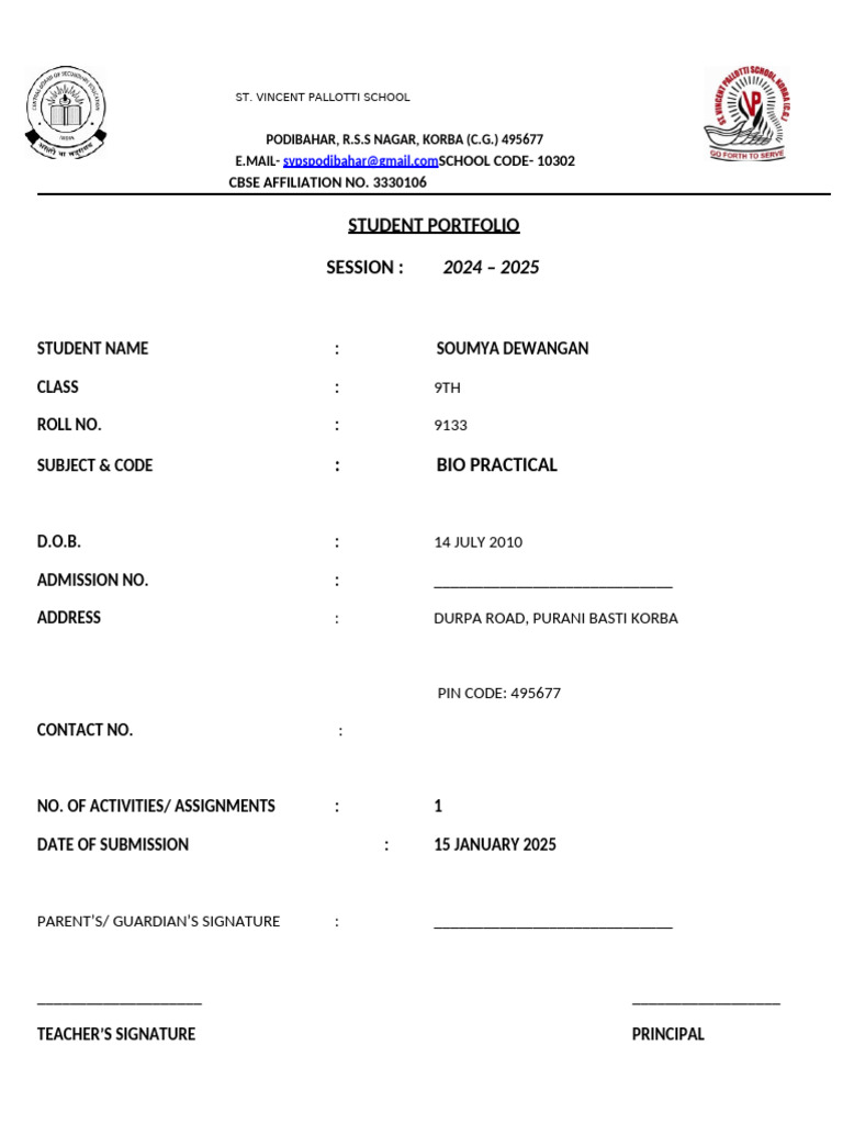 Front Page of Students Portfolio 2024-25 | PDF