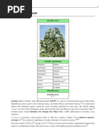 Download jatropha curcas by CasaIguana Villa Galapagos SN85413377 doc pdf