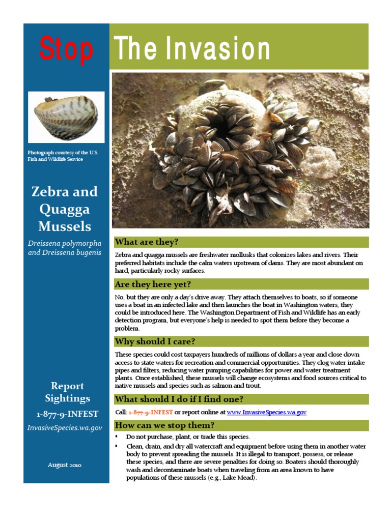 Washington Invasive Species Council Zebra Quagga Mussel Fact Sheet