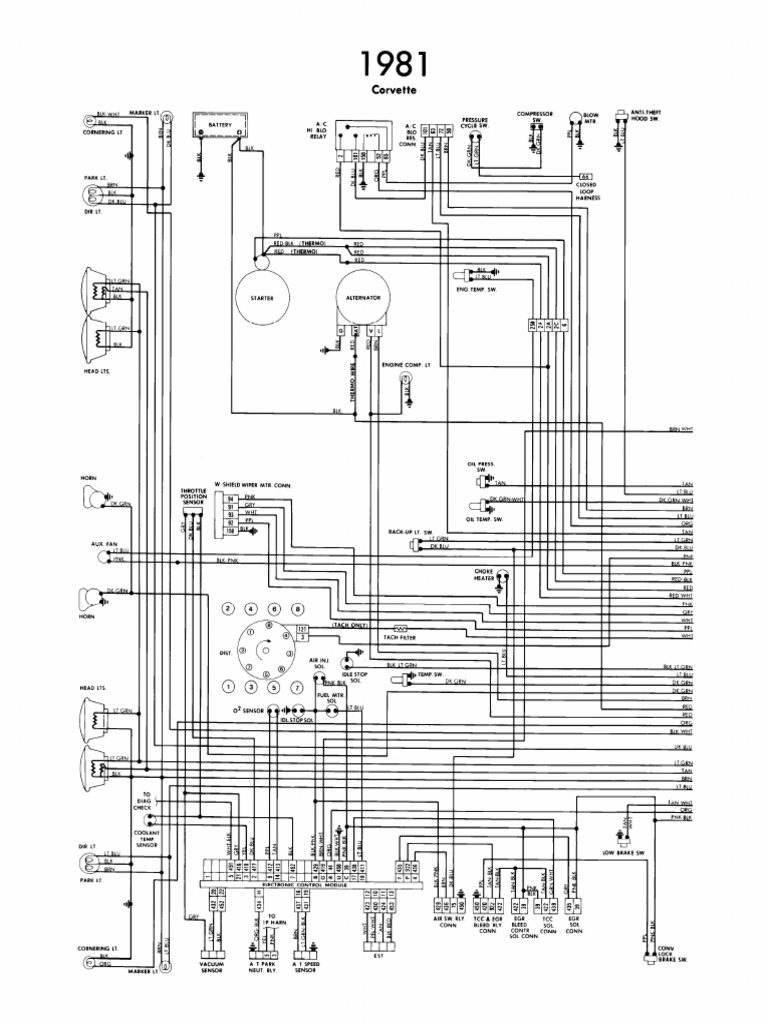 1981 Corvette Wiring Diagram PDF