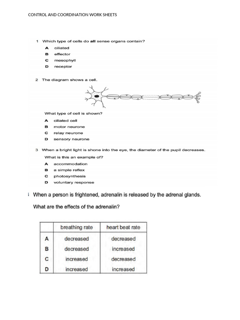 Control and Coordination Worksheets for Class 10 | PDF | Plant Hormone ...