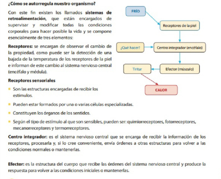 Funcion de Relación | PDF