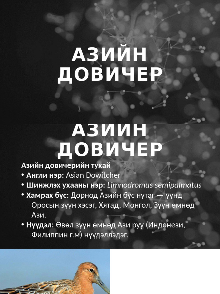 Presentation 10 | PDF