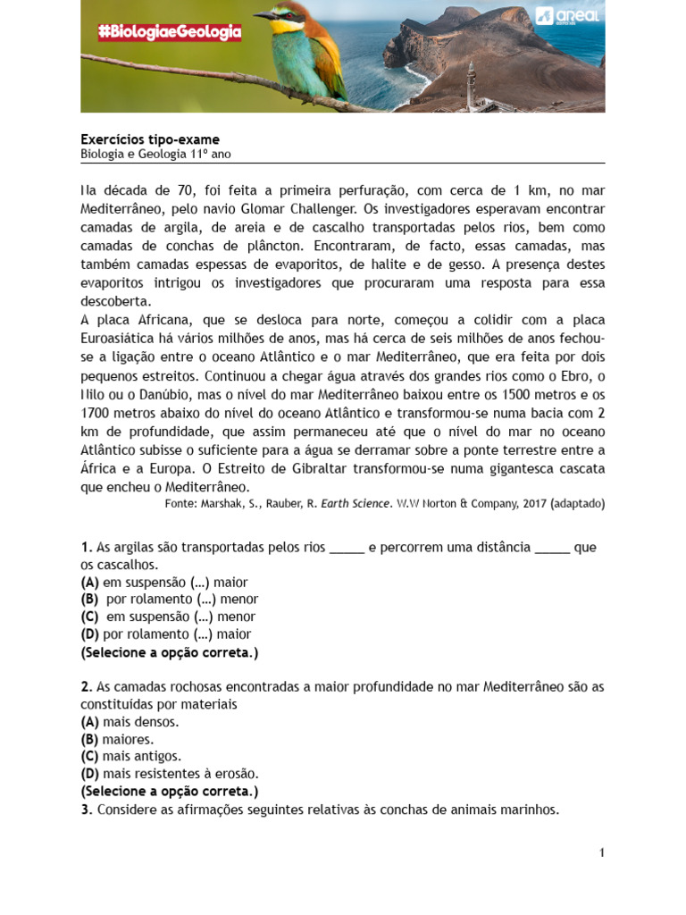 EA Rochas Sedimentares | PDF | Sedimento | Mar