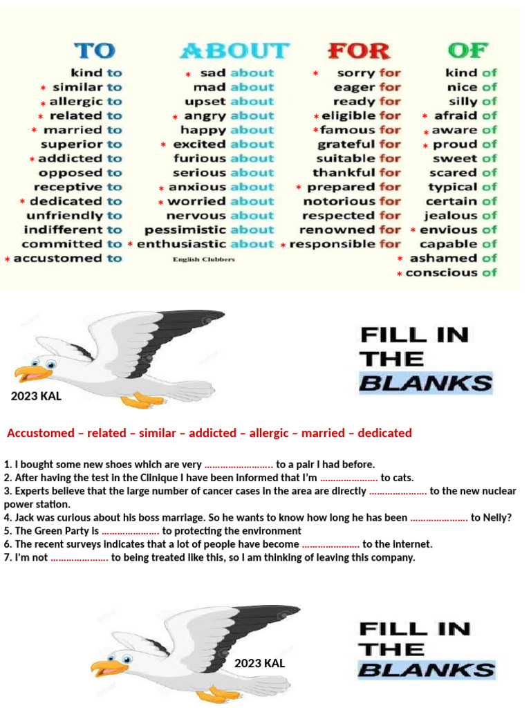 Adjectives With Prepositions PREP F | PDF