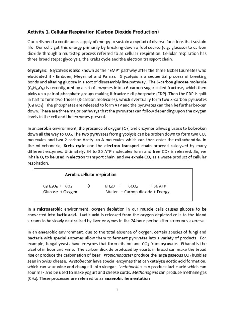 BIOL102 Week3 Enzyme Virtual Fermentation Virtual | PDF | Cellular ...
