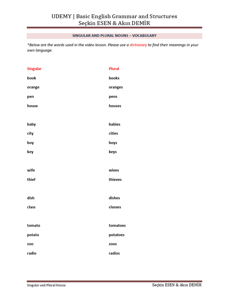 Singular and Plural Nouns Guide | PDF