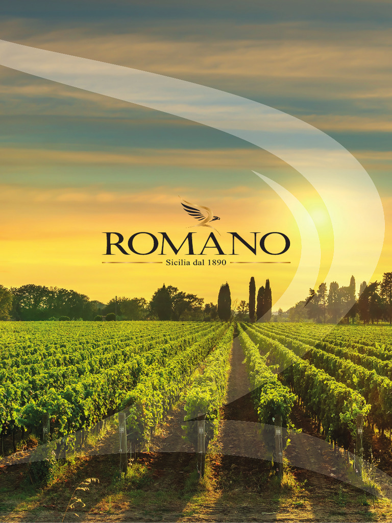 Romano Winery: Sicilian Wine Heritage | PDF | Winemaking | Wine