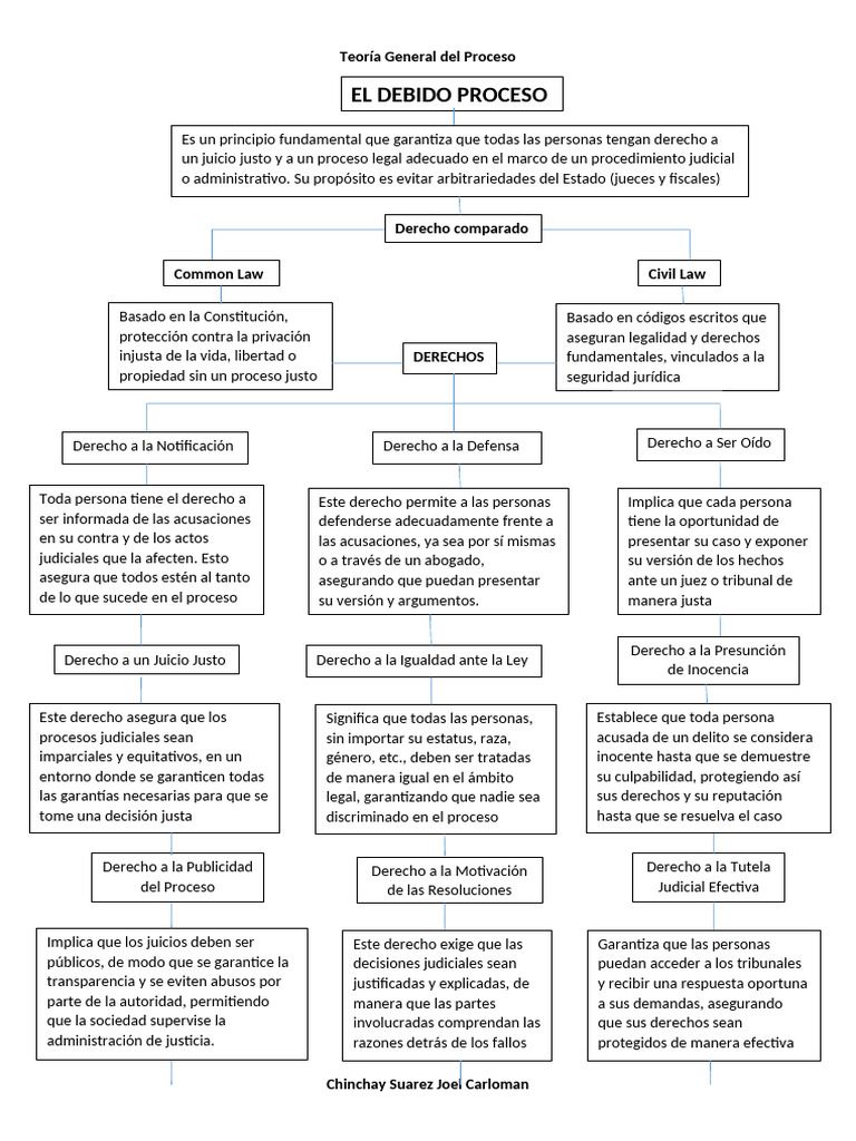 Mapa Conceptual del Debido Proceso | PDF | Debido al proceso | Judicaturas