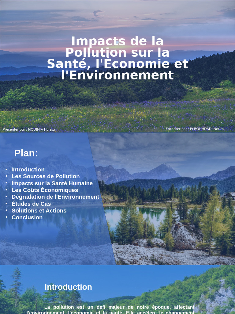 Impacts de la Pollution sur Santé et Économie | PDF | la pollution ...