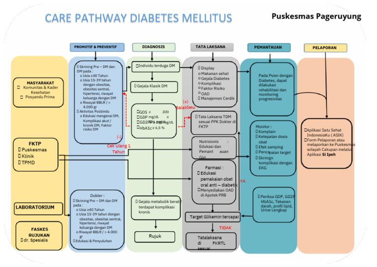 Care Pathway Diabetes Melitus di FKTP | PDF