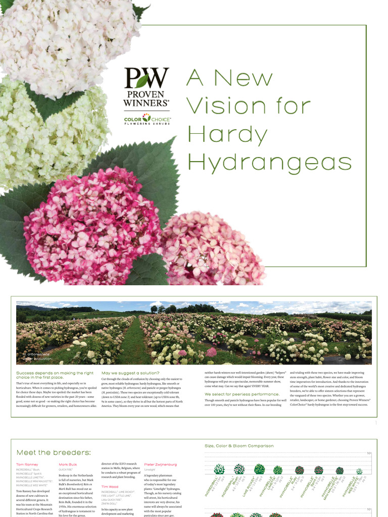A New Vision For Hardy Hydrangeas SM | PDF | Botany | Plants