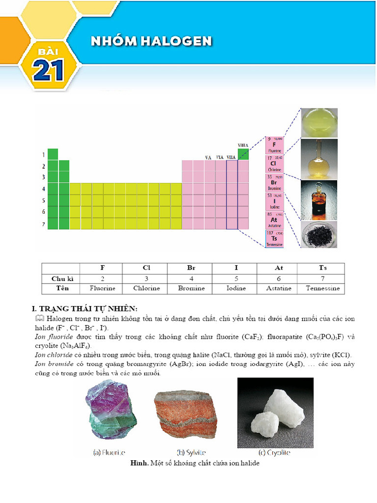 Bai 21 Nhom Halogen Hsdocx - 1600 - PDF - Gdrive.vip | PDF