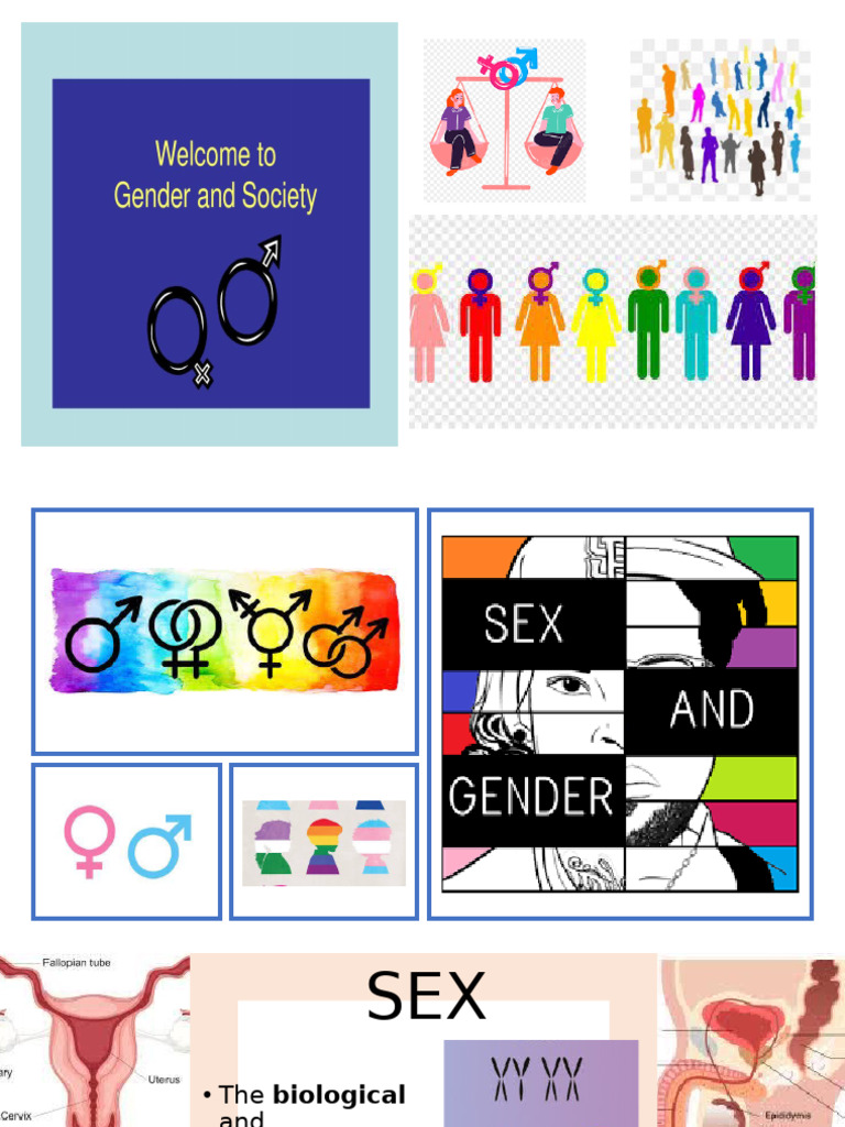 Understanding Sex and Gender Differences | PDF