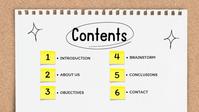 Company Overview and Objectives Guide | PDF