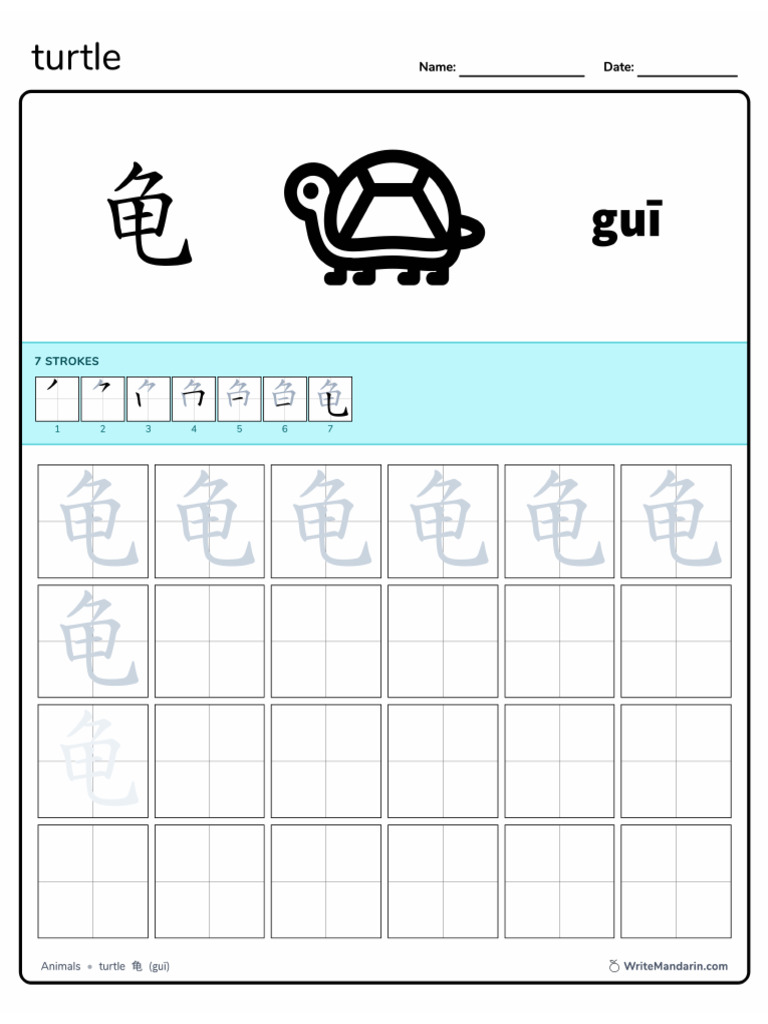 Turtle Tracing 20200414141759 | PDF