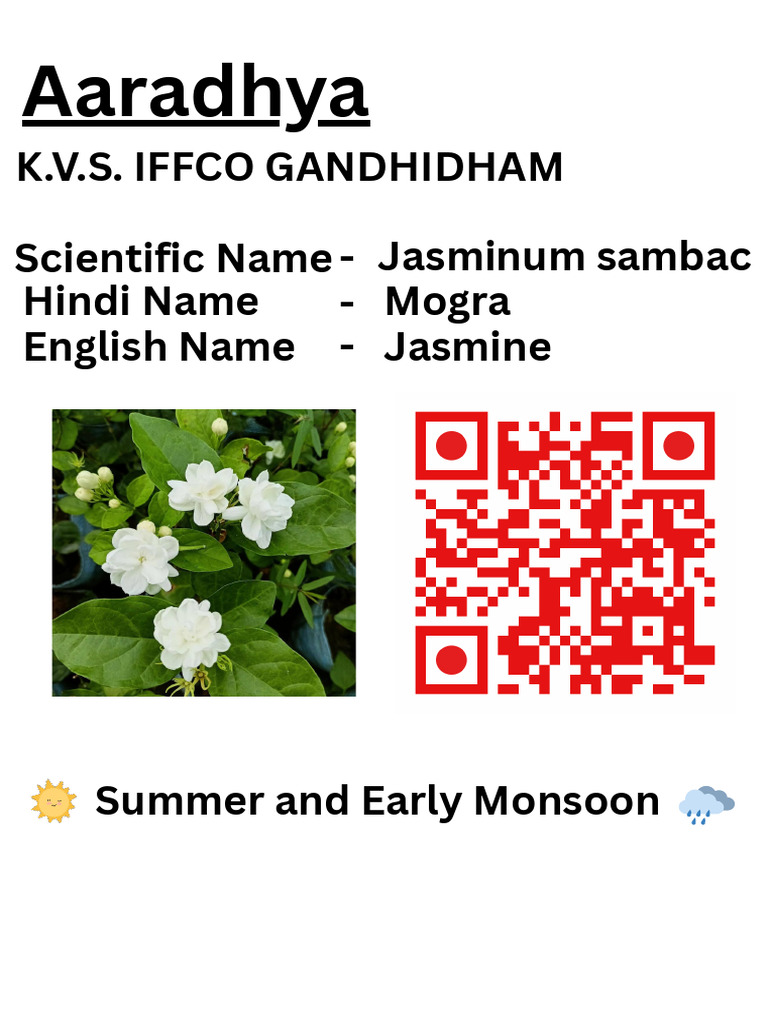 Hellowo | PDF