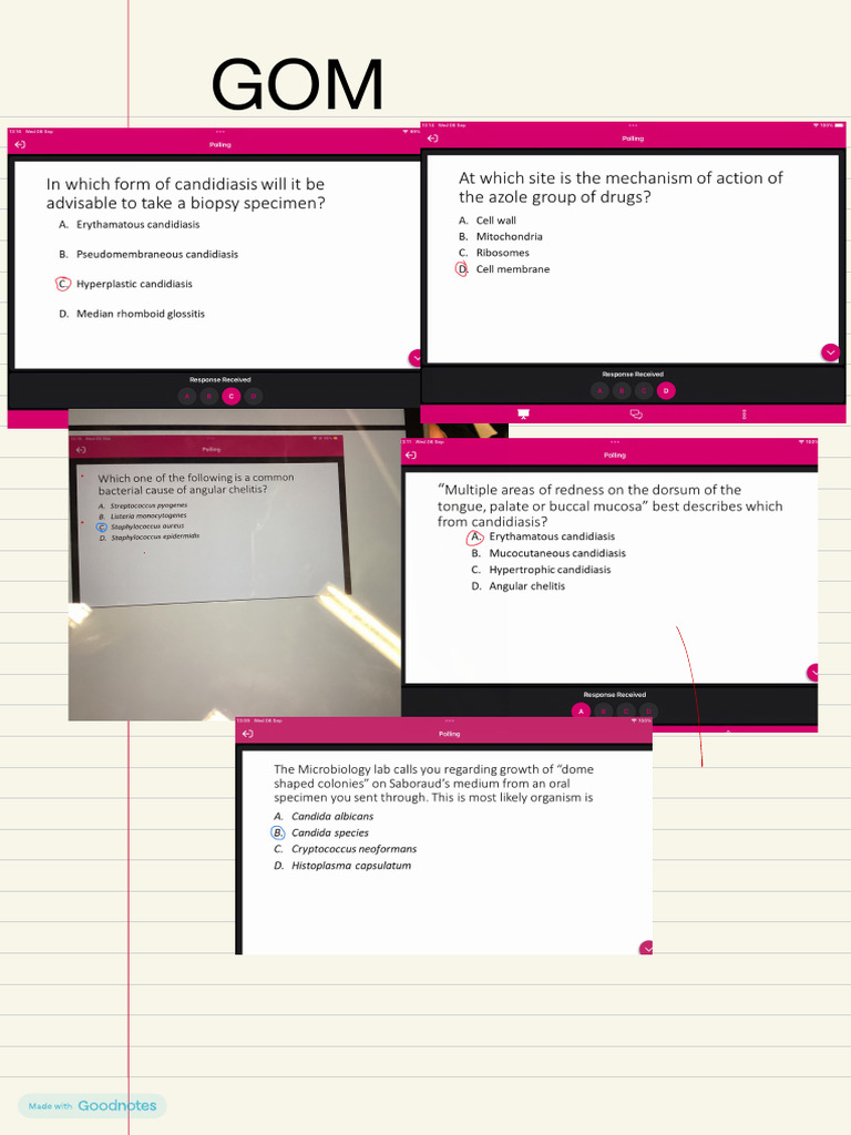 GOM | PDF