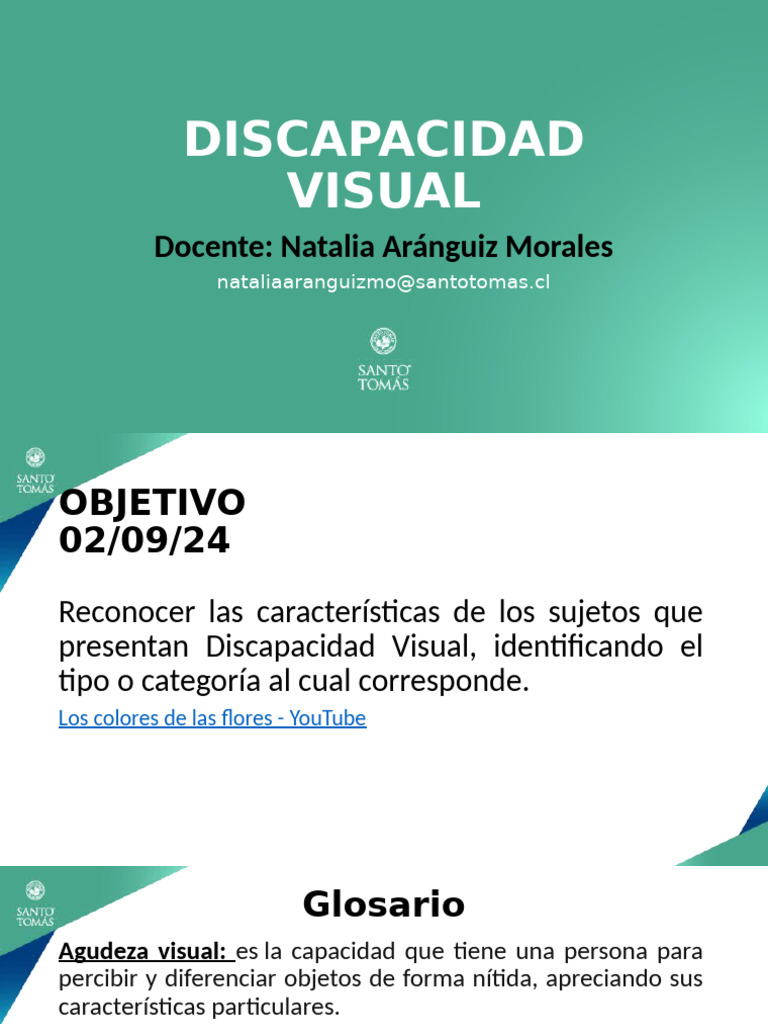 Clase Discapacidad Visual | PDF | Percepción visual | Ojo humano