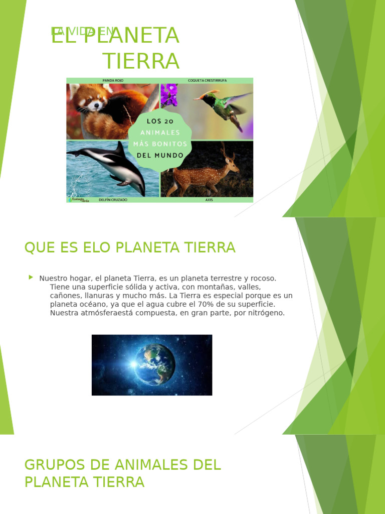 Vida y Biodiversidad en el Planeta Tierra | PDF | Polinización | Abejas
