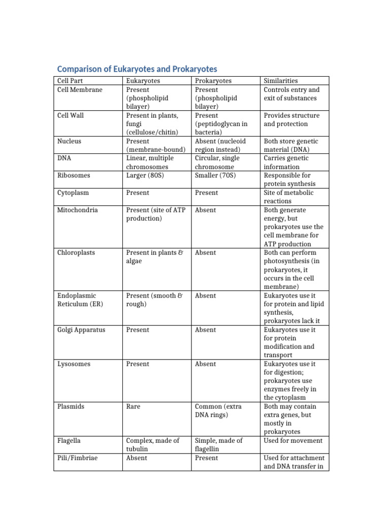 Eukaryotes vs Prokaryotes Comparison Guide | PDF | Cell (Biology ...