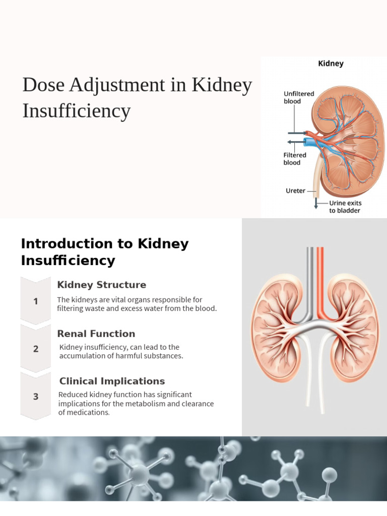 Renal Dose Adjustment Guidelines | PDF | Kidney | Medical Specialties