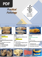 GI Ultrasound: Normal Anatomy Guide | PDF | Gastrointestinal Tract ...