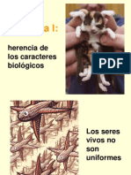 Genética_Teórica_A