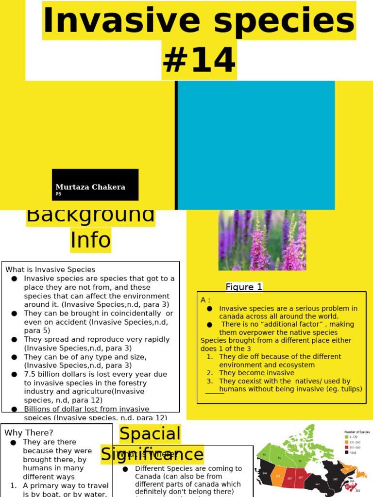 Understanding Invasive Species Impact | PDF | Invasive Species ...