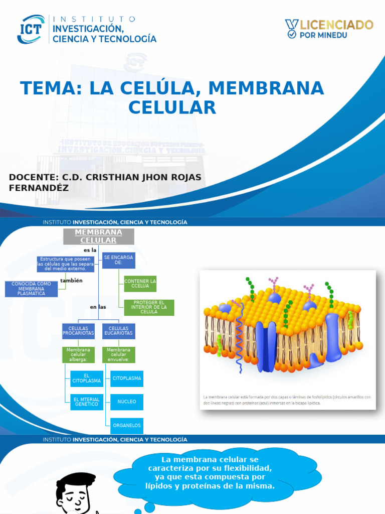 Estructura y Funciones de la Membrana Celular | PDF | Membrana celular ...