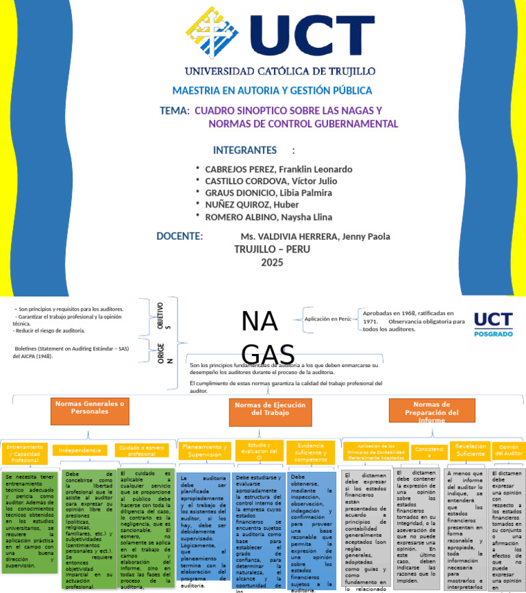Normas de Auditoría y Control Gubernamental | PDF | Auditoría | Contralor