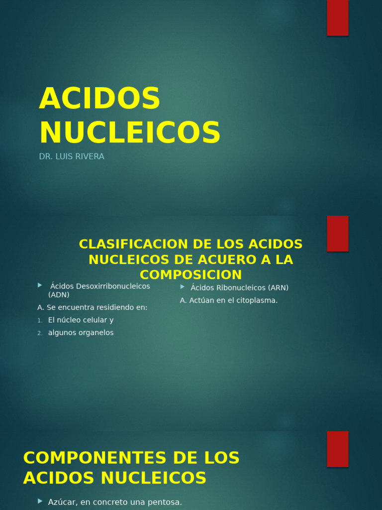 ACIDOS NUCLEICOS | PDF | Adn | Rna