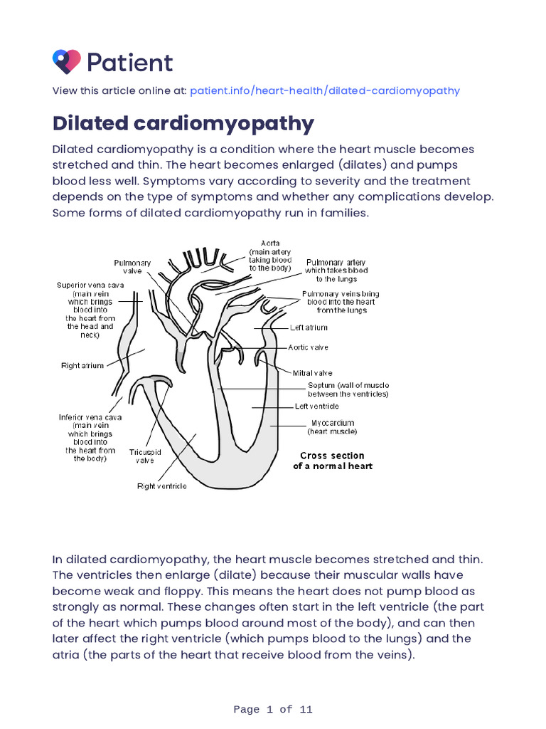Patient - Dilated Cardiomyopathy | PDF | Artificial Cardiac Pacemaker ...