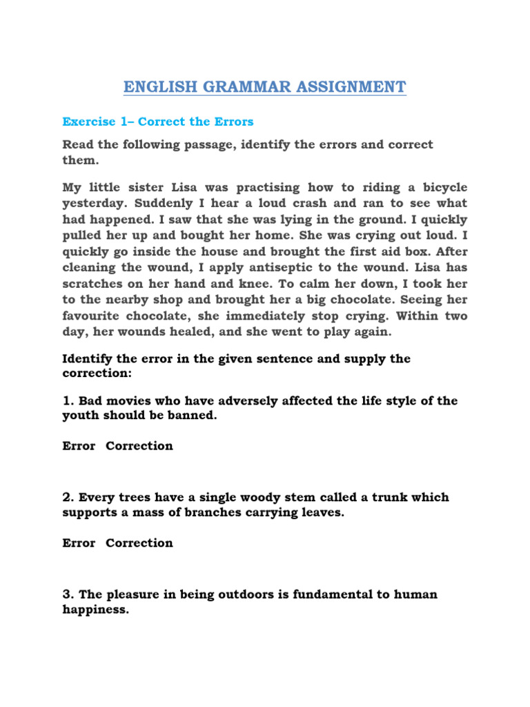 English Grammar Error Correction Assignment | PDF