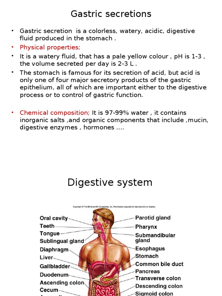 Gastric Secretion: Composition and Phases | PDF | Stomach | Digestion