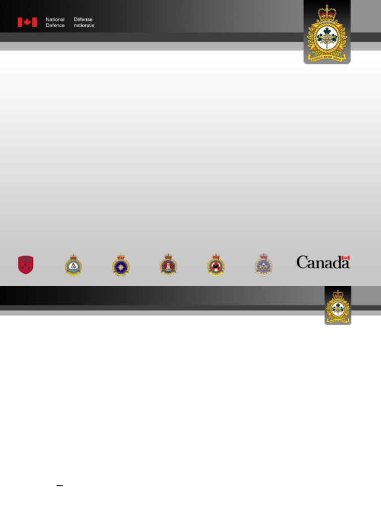 CIC Officer Application Guide | PDF