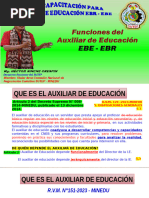 Funciones del Auxiliar de Educación | PDF | Educación primaria | Maestros