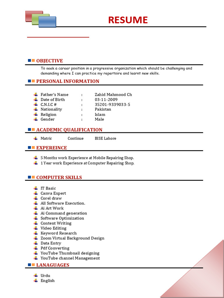 Rafay Zahid Ch - Resume Overview | PDF