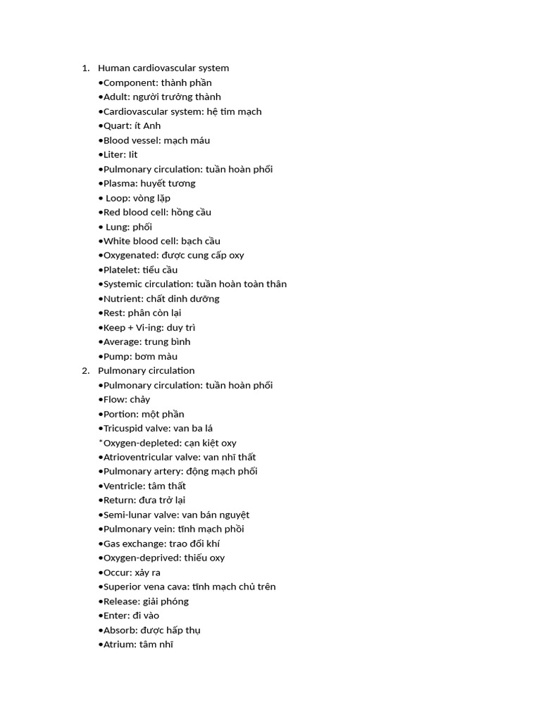 Human Cardiovascular System | PDF