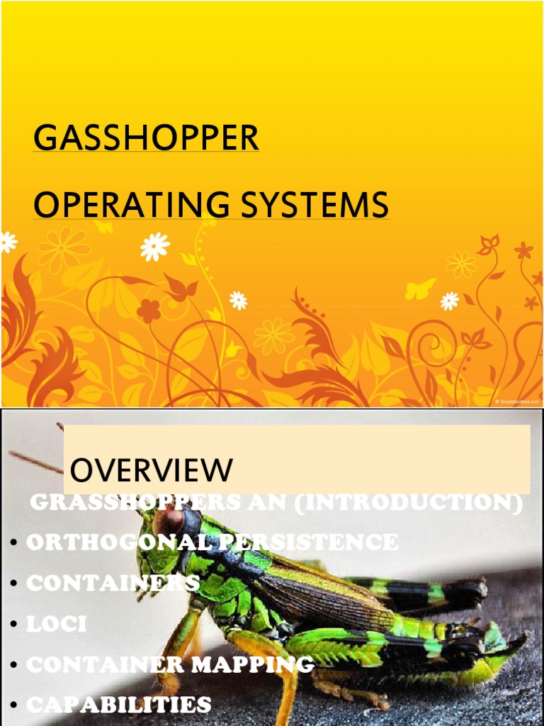 Grasshopper Operating System Overview | PDF | Abstraction (Computer ...