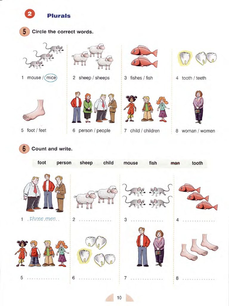 Count and Write: Plural Forms Guide | PDF