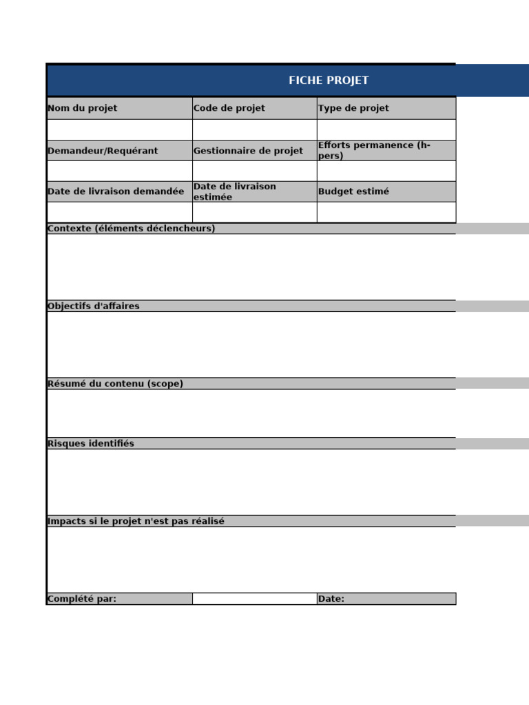 Modèle de fiche projet et priorisation | PDF