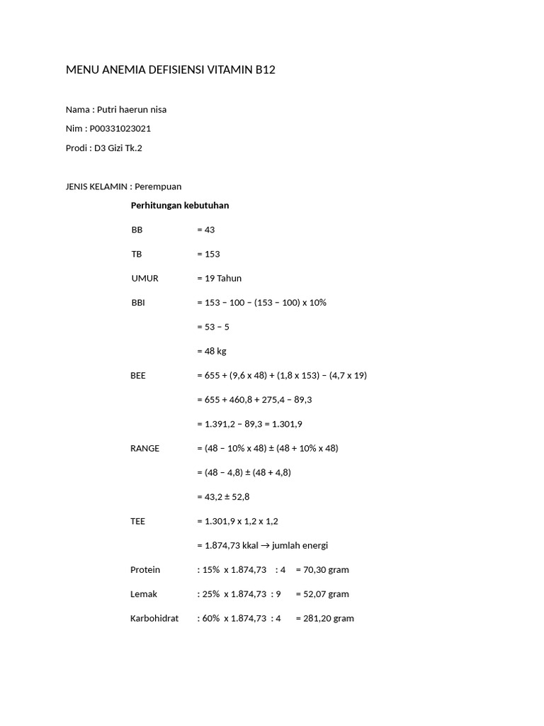 Menu Diet Anemia Vitamin B12 | PDF