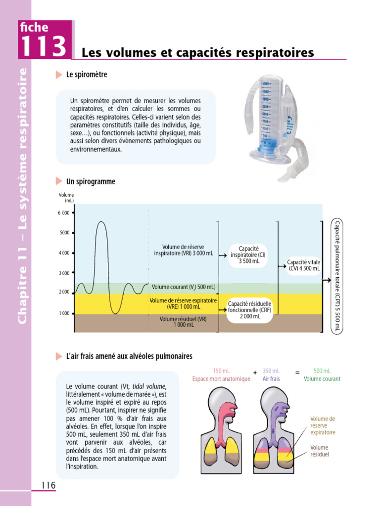 Volumes et capacités respiratoires | PDF | Respiration | Physiologie