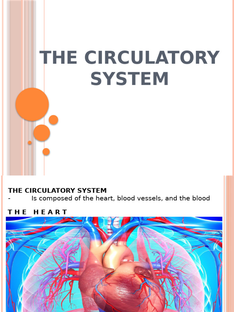 THE-CIRCULATORY-SYSTEM | PDF | Heart Valve | Heart