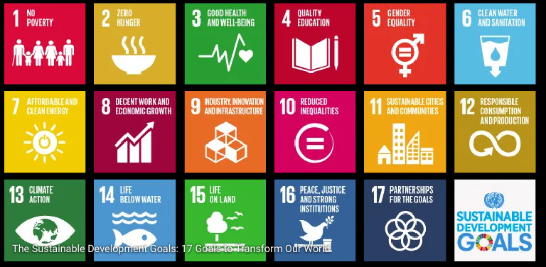 17 Goals for Sustainable Development | PDF | Sustainability | Natural ...