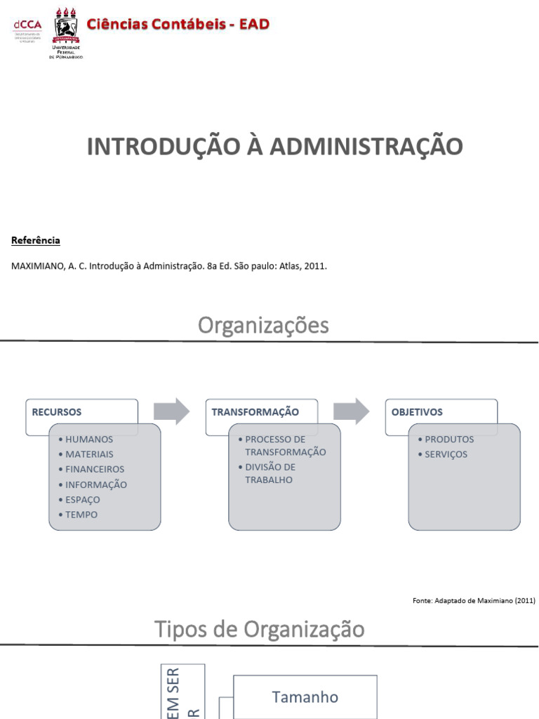 Tipos de Organização na Administração | PDF