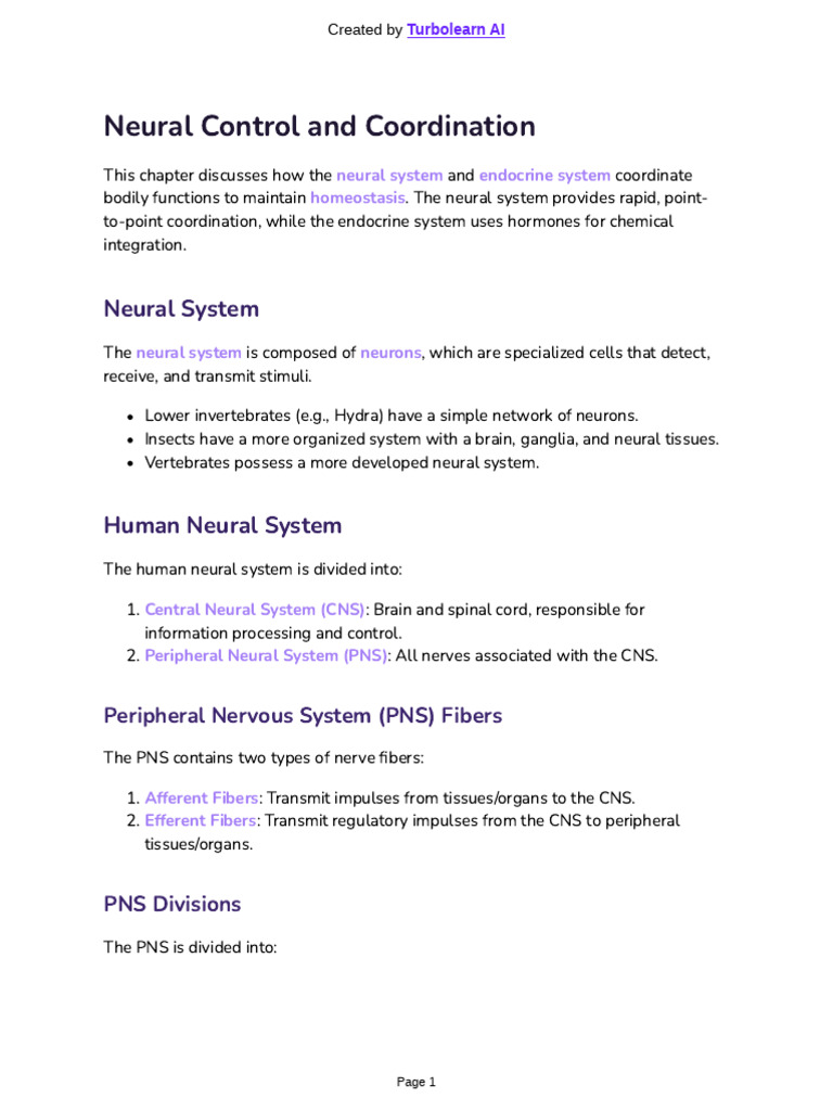 Neural Control and Coordination | PDF | Synapse | Action Potential