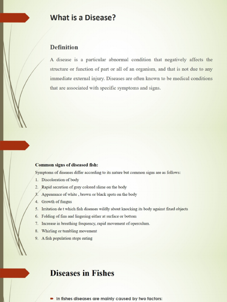 Trichodiniasis in Fish Diseases | PDF
